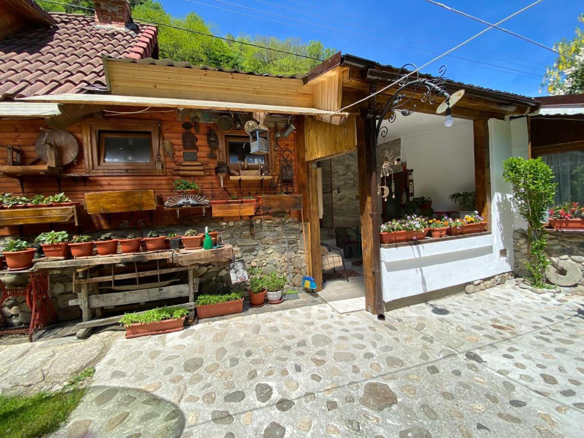 Pensiunea Mioritica Sibiel Exterior foto